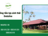 Imex PNT - Đơn vị thi công tấm lợp sinh thái Onduline đạt chuẩn thẩm mỹ