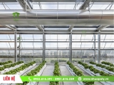Ứng dụng tấm polycarbonate trong nhà kính trồng rau