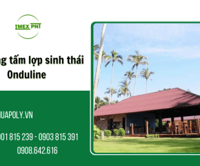 Imex PNT - Đơn vị thi công tấm lợp sinh thái Onduline đạt chuẩn thẩm mỹ