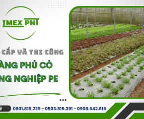 Cung cấp và thi công màng phủ cỏ nông nghiệp PE 